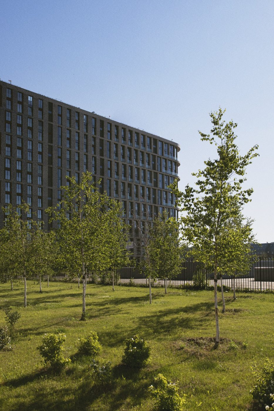 Cây Xanh Ngọc Linh