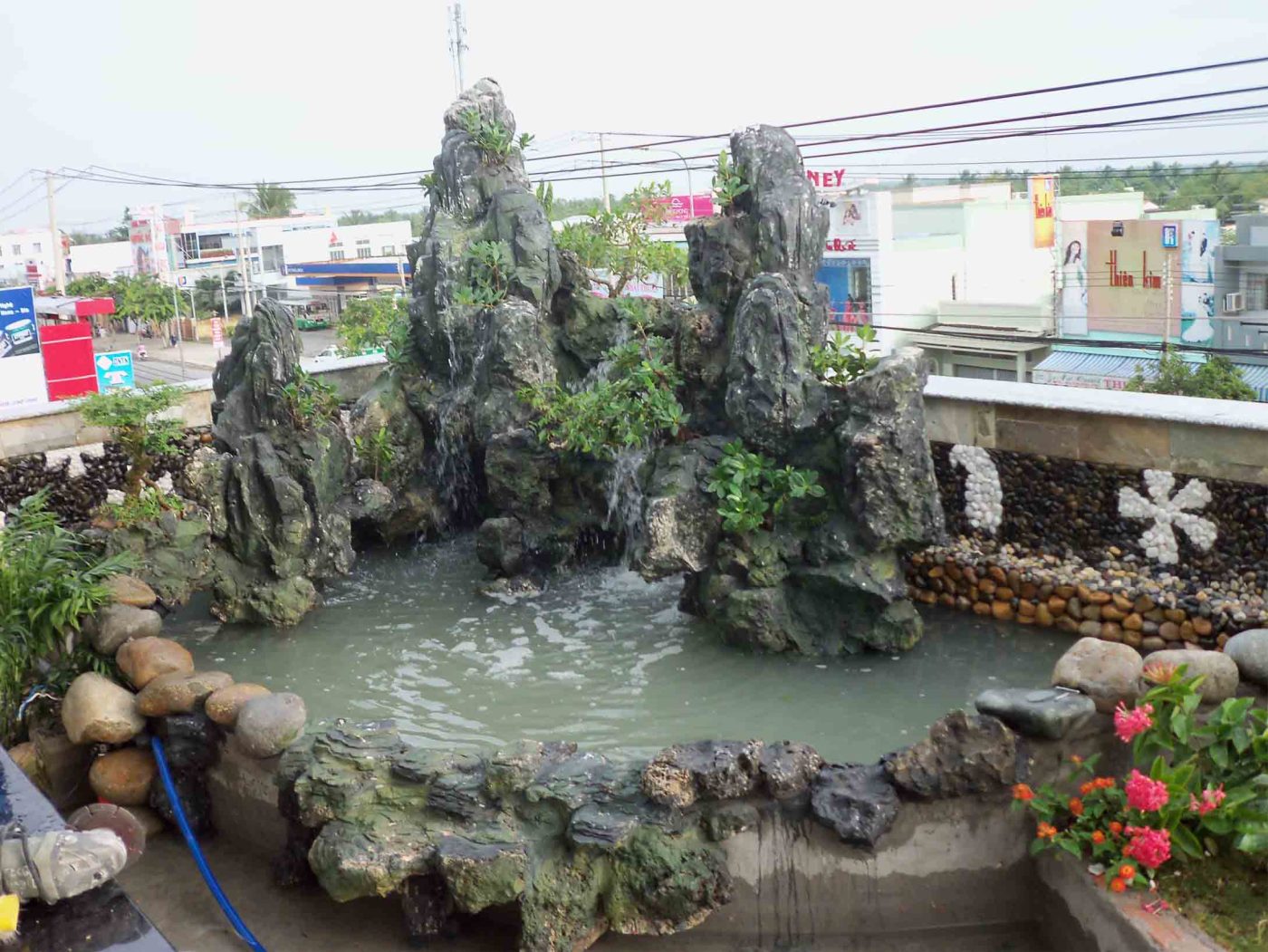 Cây Xanh Ngọc Linh